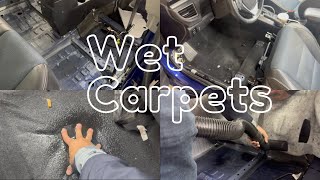 Celebrity How to Dry Wet Carpets from Rain or Flood( Rhode Island ) Net Worth