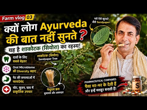 Farm vlog - 03: दातून Toothpaste से बेहतर है? Oral Microbiome का सबसे बड़ा सच | Ajeet Bisen