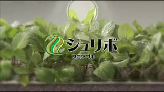 「殺虫剤 ジュリボフロアブル」上手な使い方ムービー