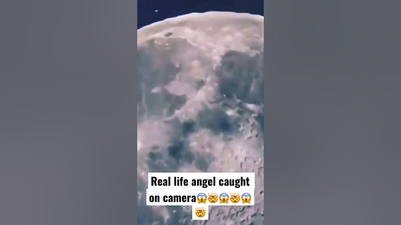 Real Angels caught on camera🤯😱🤯😱🤯😱🤯 Real Angels caught on camera🤯😱🤯😱🤯😱🤯
