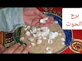 برج الحوت مكالمه تليفونيه هامه خلال ساعات مفاجاه قبول في وظيفة حبيب هيعترفلك بمشاعره برج الحوت مكالمه تليفونيه هامه خلال ساعات مفاجاه قبول في وظيفة حبيب هيعترفلك بمشاعره