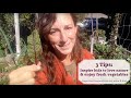 3 Tips to inspire kids to love nature &amp; enjoy fresh vegetables
