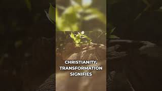 Dreams of Transformation: Embrace Your Spiritual Evolution!