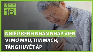 Nhiều bệnh nhân nhập viện vì mỡ máu, tim mạch, tăng huyết áp | VTC16