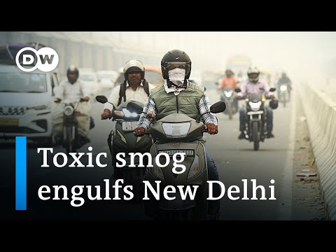 Closed schools, halted work, restricted use of vehicles: india engulfed in smog | dw news