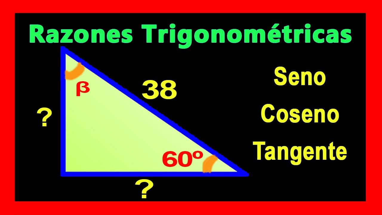 ✅👉 Como hallar el Cateto Opuesto y Adyacente de un Triangulo Rectangulo