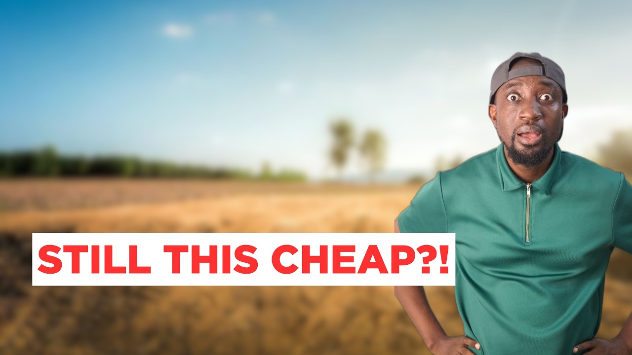 Вы не поверите, что в 2025 году земля все еще стоит так мало!