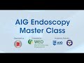 Masterclass for advanced endoscopic procedures  aig hospitals