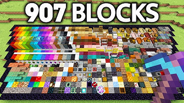 I Got EVERY Block in 24 Hours!