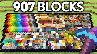 I Got EVERY Block in 24 Hours!