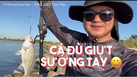 CÂU CÁ ĐÙ MỎI TAY Ở BIỂN GALVESTON TEXAS - FISHING CROAKER NON STOP IN GALVESTON TX 😃