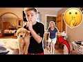 HIDING MY NEW PUPPY FROM MY MOM FOR 24 HOURS!