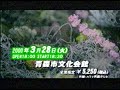 相川七瀬 青森コンサート (1999年頃)