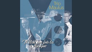 Video voorbeeld van "Trio Maulus - La javanaise"