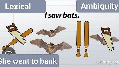 #Lexical Ambiguity: #Created by Word #Examples