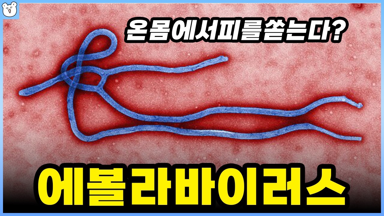 에볼라 바이러스 공포와 진실