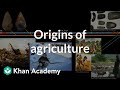 The Evolution of Humanity from Stone Tools to Agriculture