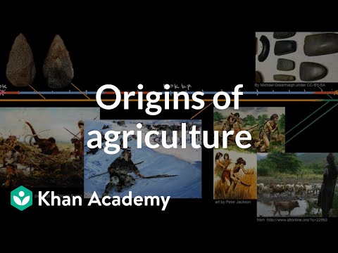 Originle agriculturii | Istoria lumii | Khan Academy