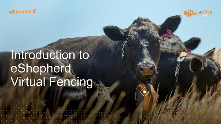 eShepherd Intro AU NZ
