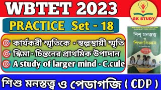 WB Primary TET 2023 CDP Class in Bengali | শিশুশিক্ষা ও শিশু মনস্তত্ত্ব প্রশ্ন | WB TET Pedagogy MCQ