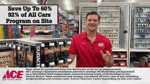 Ace Hardware Your Chip Key Solution VL