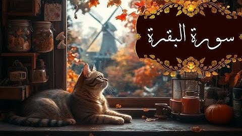 سورة البقرة / عبدالرحمن مسعد