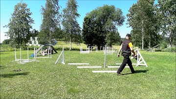 Jumping grid exercises agility / hyppytekniikka HT Sammy diagonaali&BG 20160621