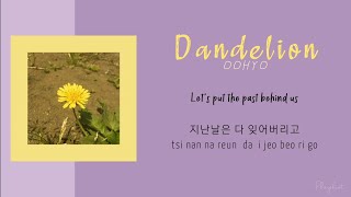 Dandelion(민들레) _  OOHYO(우효)  ENGHANROM Lyrics