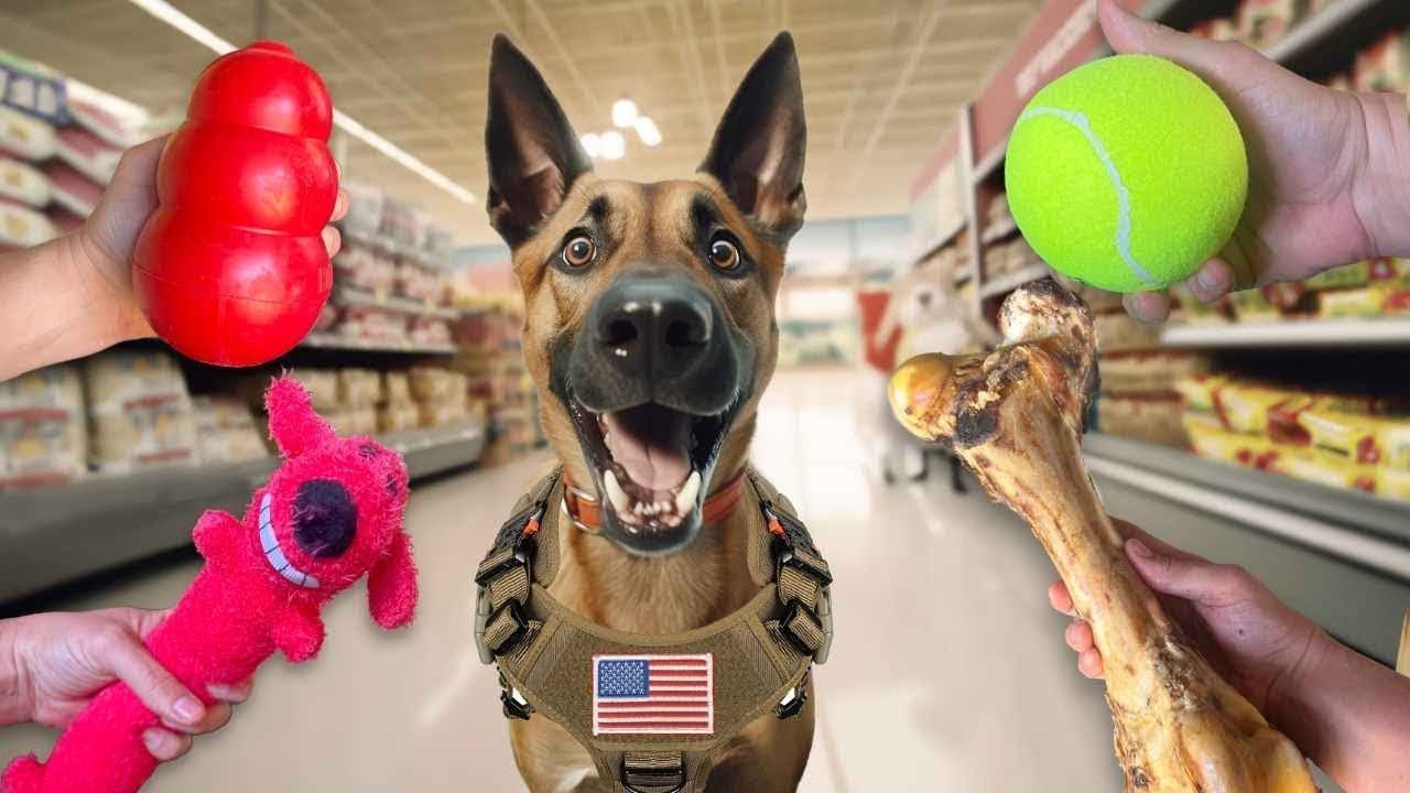 ⁣Buying Worlds Top Combat Dog Everything he Touches! | Animal Force Ep 2