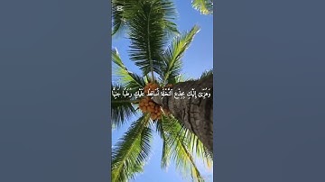 سورة : مريم - Maryam  - الجزء : ( 16 )  -  الصفحة: ( 306 ) #اكسبلور #المصحف #قرآن