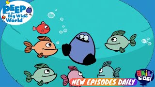 Peep And The Big Wide World Quack The Storyteller Akili Kids