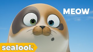 Cat? Seal? Kitty Seal Special | SEALOOK | Episodes Compilation