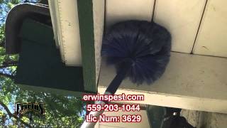 Erwins Pest - Clovis, CA | Exterminators