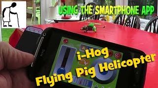 i-Hog Flying Pig Helicopter trying the Smartphone App