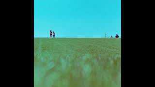 Coco - Empty Beach