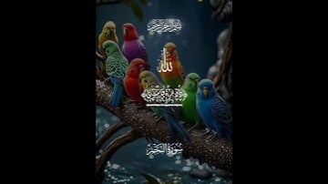 القران الكريم #اكسبلور #القزابري #دويتو #الرحمن #duet #المصحف #حالات_واتس #الطحان #تيك_توك