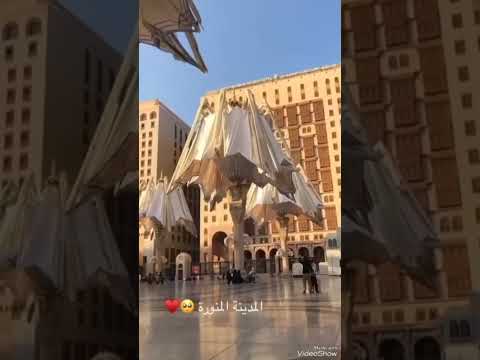 من مكة المدينة هاجر سيدنا وصاحبه 