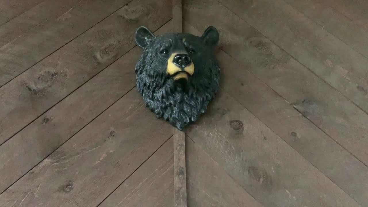 Gilford NH Mountain Top Chalet - Celebrating a friend a week before his wedding - Short Highlight