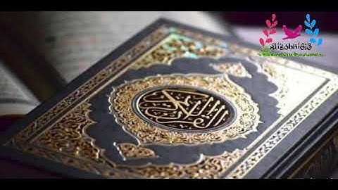 |قرآن كريم|تلاوة خاشعة تبكي الحجر بصوت الشيخ هاني الرفاعي