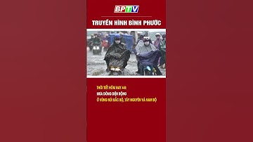 Ngày 4-8, mưa dông diện rộng ở vùng núi Bắc Bộ, Tây Nguyên và Nam Bộ #shorts  | BPTV