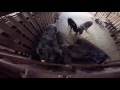 Middle of video