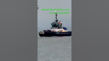 Thumbnail of August 11, 2025