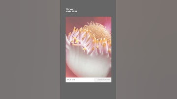 Tecno Spark 30 5G Camera 108MP