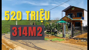 314M2 GIÁ CHỈ 520 TRIỆU CHO LÔ ĐẤT LỘC NGÃI BẢO LÂM LÂM ĐỒNG #nhadatlamdong