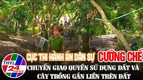 Cục Thi hành án dân sự cưỡng chế chuyển giao quyền sử dụng đất và cây trồng gắn liền trên đất
