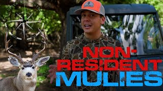 Top 3 States For Non-Resident Mule Deer Hunters - Mule Deer Hunting Tips