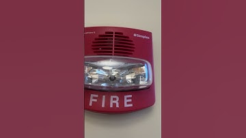 Simplex truealert horn strobe