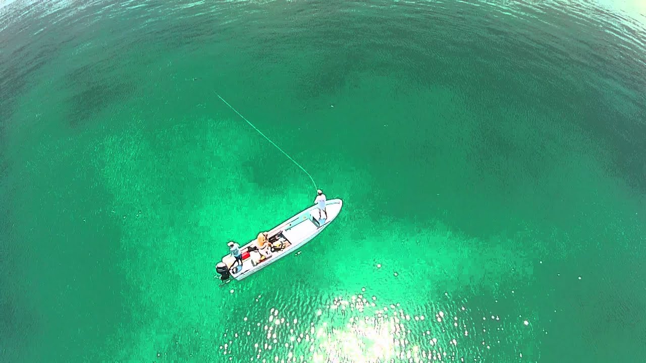 Fly Fishing for Tarpon in Amazing Mexico Aerial View YouTube