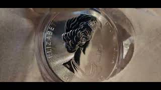10 oz 2021 Canada Silver Magnificent Maple Leaves