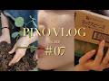 PINO VLOG#07|鉢替え・Amazon購入品・新しい下地購入